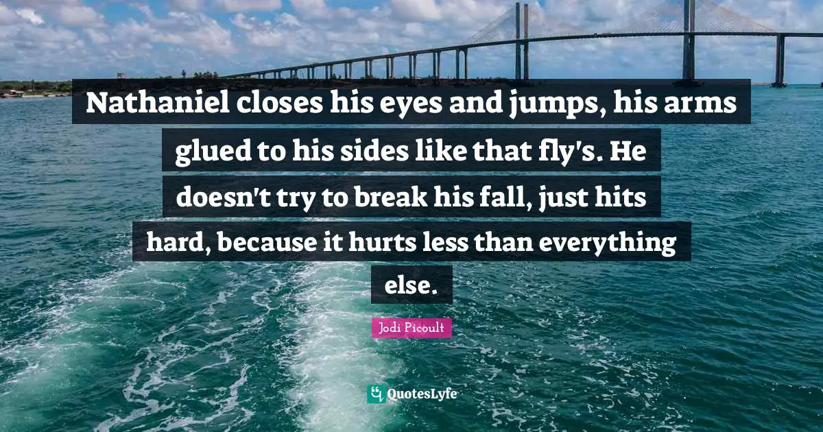 Nathaniel closes his eyes and jumps, his arms glued to his sides like that fly's. He doesn't try to break his fall, just hits hard, because it hurts less than everything else.