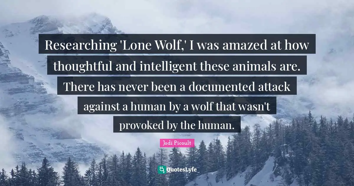 Thoughtful Quotes: "Researching 'Lone Wolf,' I was amazed at how thoughtful and intelligent these animals are. There has never been a documented attack against a human by a wolf that wasn't provoked by the human."