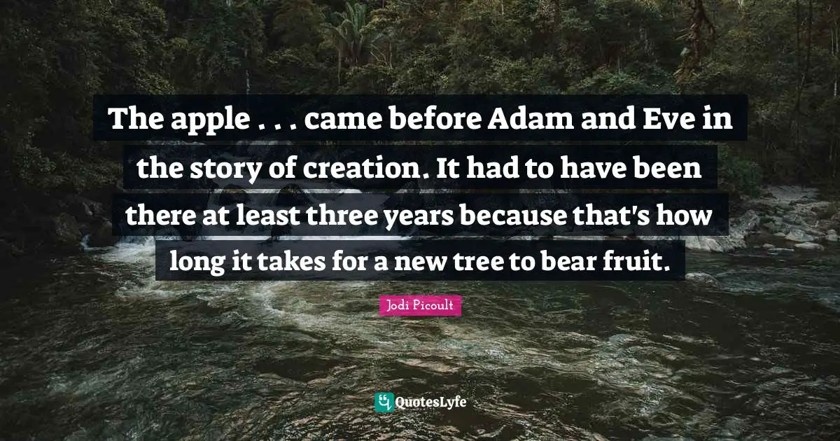 The apple . . . came before Adam and Eve in the story of creation. It had to have been there at least three years because that's how long it takes for a new tree to bear fruit.