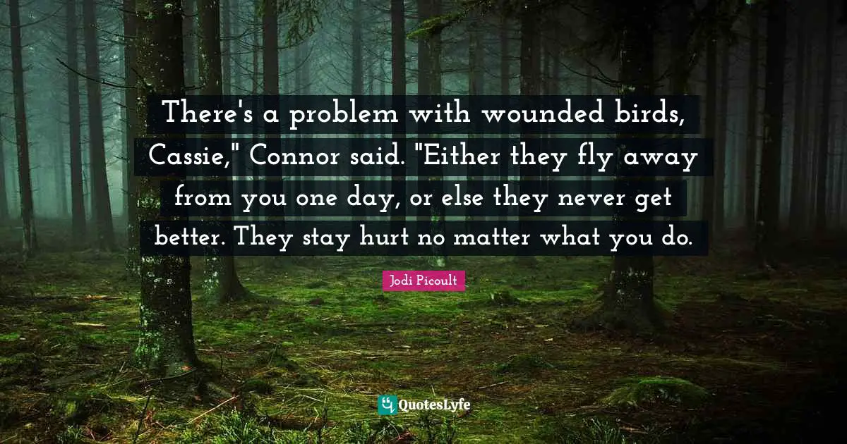 There's a problem with wounded birds, Cassie," Connor said. "Either they fly away from you one day, or else they never get better. They stay hurt no matter what you do.