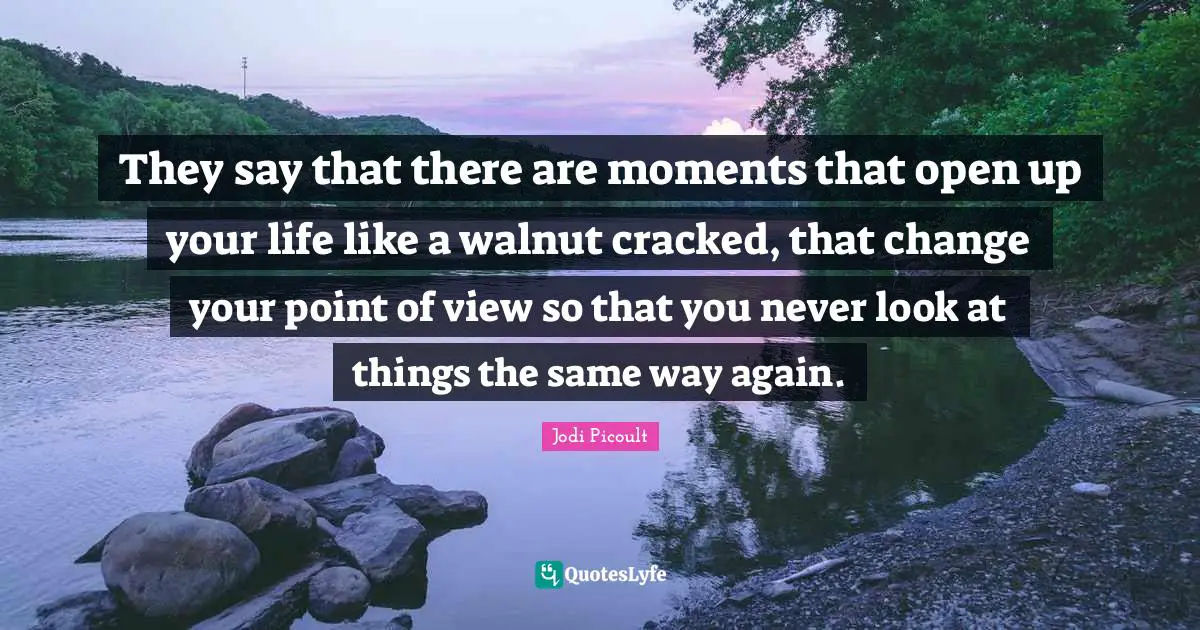 Point Of View Quotes: "They say that there are moments that open up your life like a walnut cracked, that change your point of view so that you never look at things the same way again."