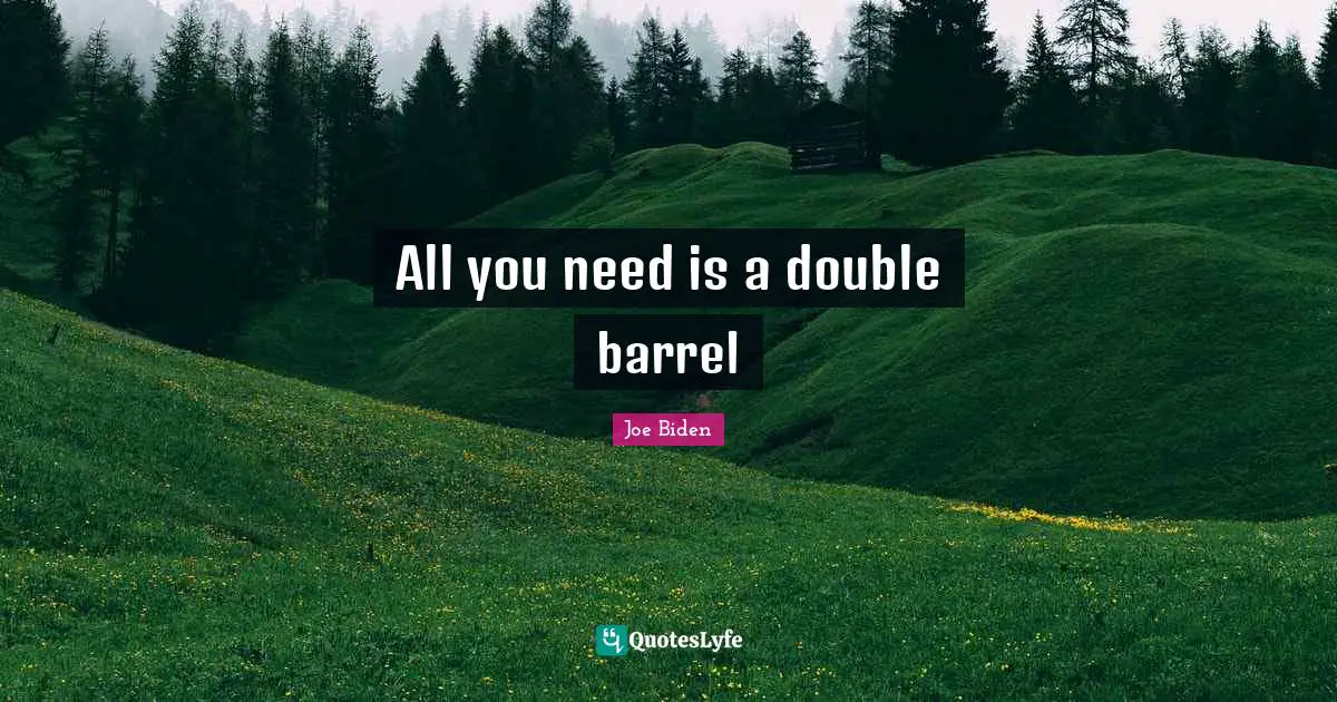 Barrels Quotes: "All you need is a double barrel"