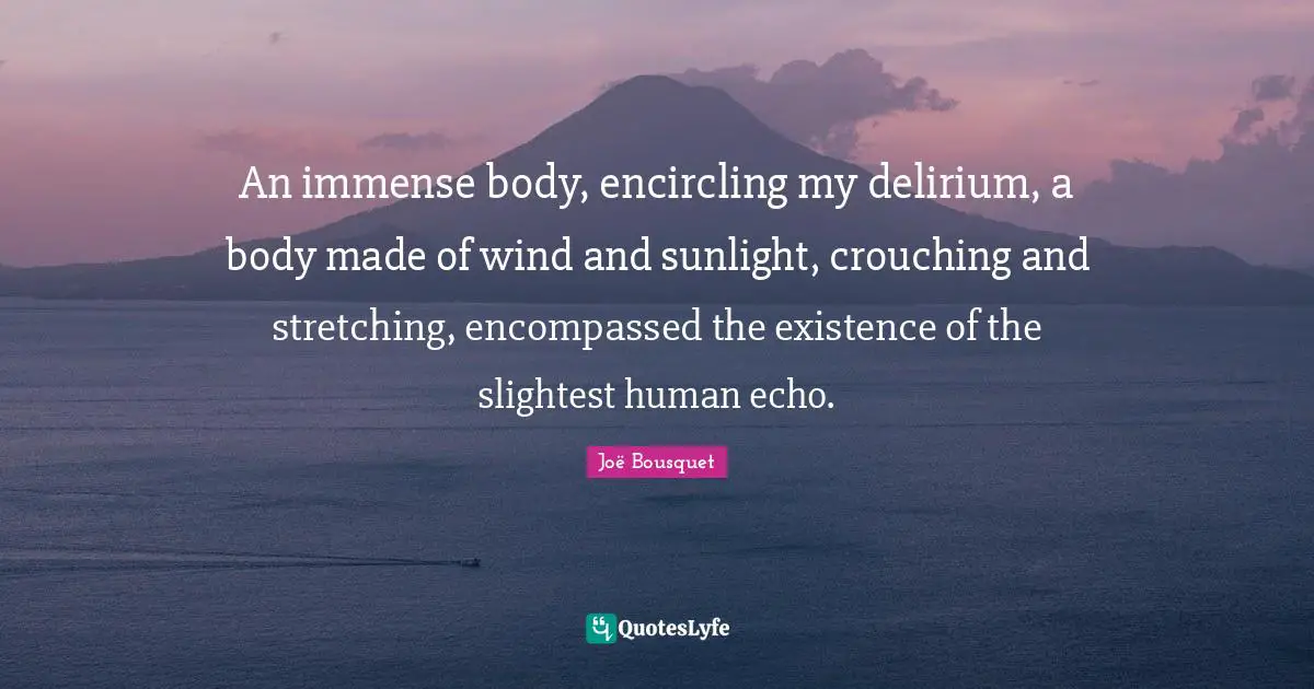 Sunlight Quotes: "An immense body, encircling my delirium, a body made of wind and sunlight, crouching and stretching, encompassed the existence of the slightest human echo."