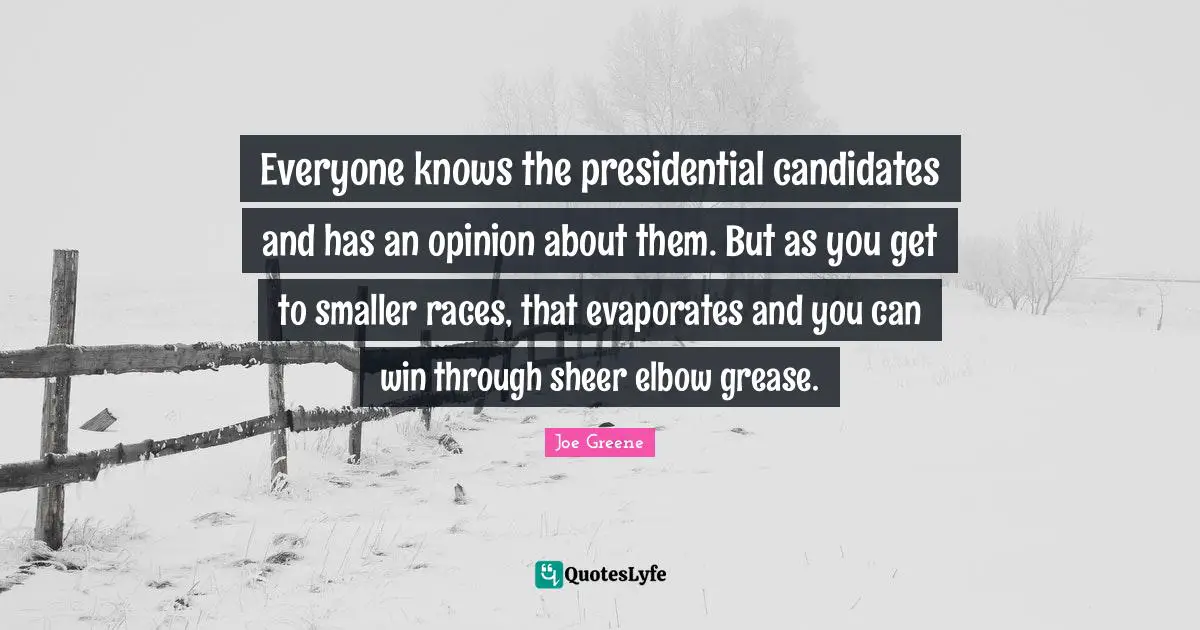 Joe Greene Quotes: "Everyone knows the presidential candidates and has an opinion about them. But as you get to smaller races, that evaporates and you can win through sheer elbow grease."