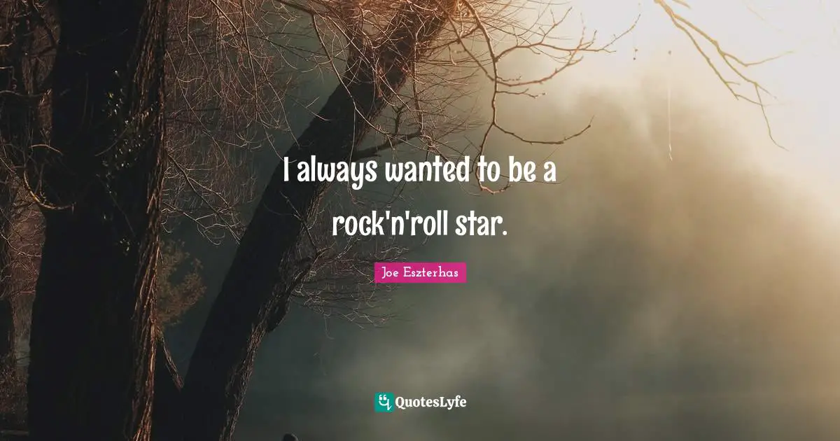 I always wanted to be a rock'n'roll star.