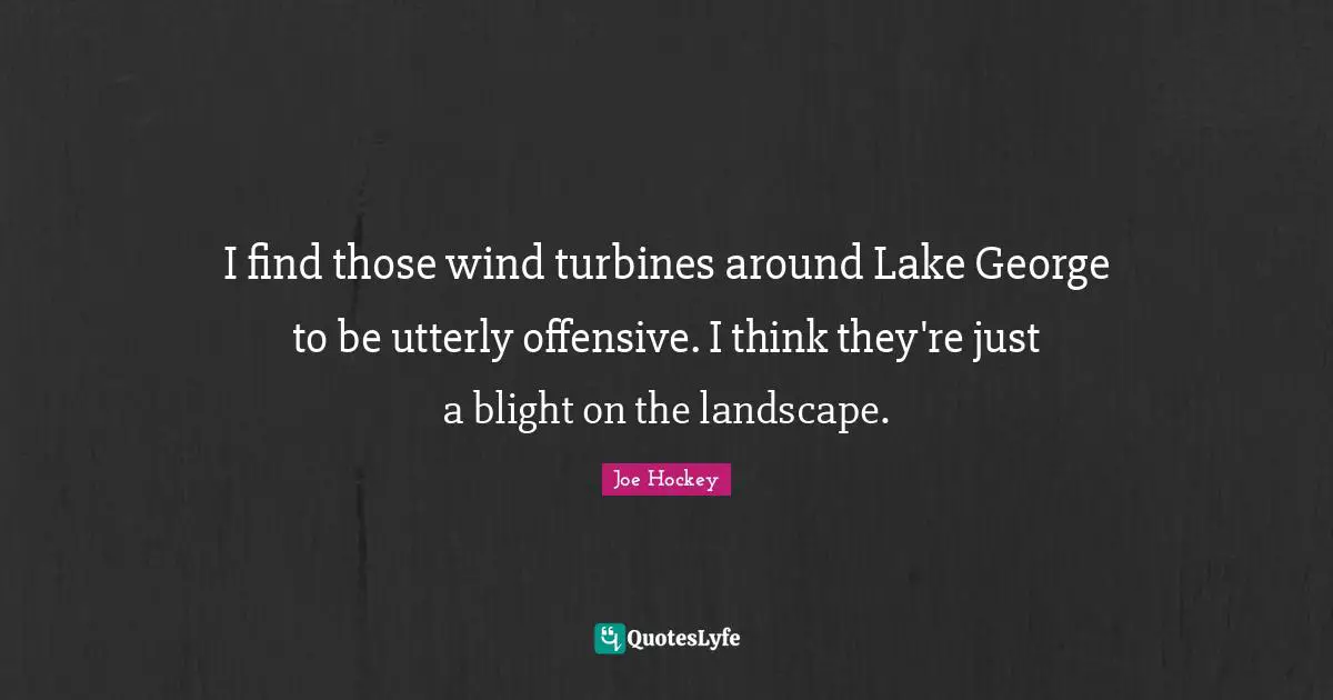 I find those wind turbines around Lake George to be utterly offensive. I think they're just a blight on the landscape.