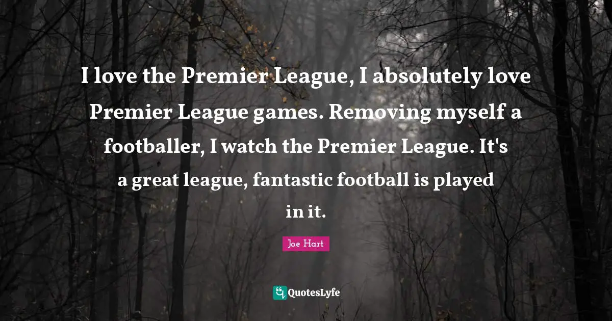 I love the Premier League, I absolutely love Premier League games. Removing myself a footballer, I watch the Premier League. It's a great league, fantastic football is played in it.
