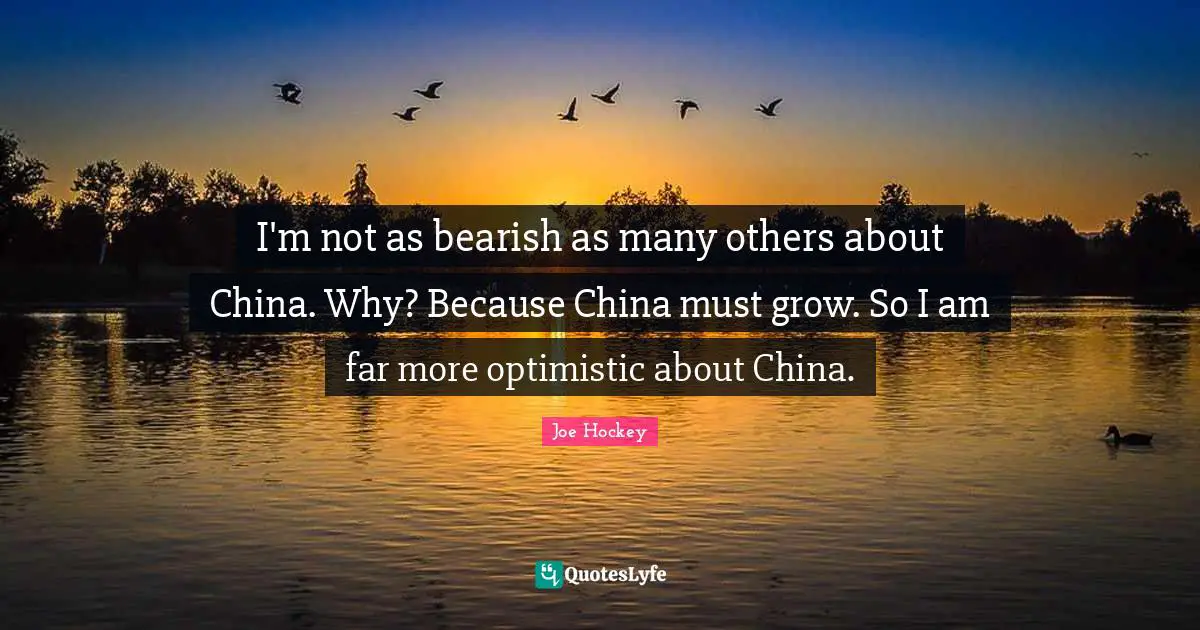I'm not as bearish as many others about China. Why? Because China must grow. So I am far more optimistic about China.
