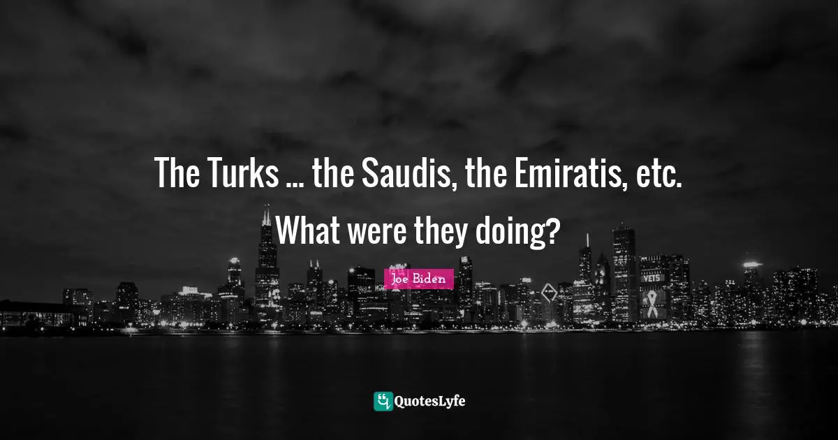 The Turks ... the Saudis, the Emiratis, etc. What were they doing?