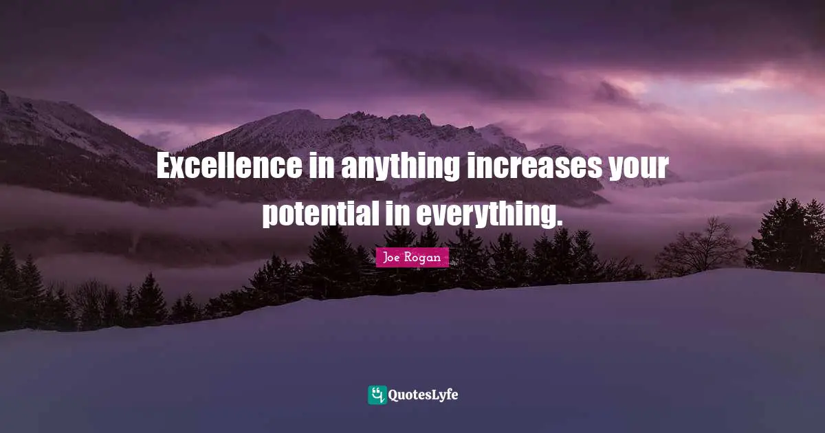Joe Rogan Quotes: "Excellence in anything increases your potential in everything."