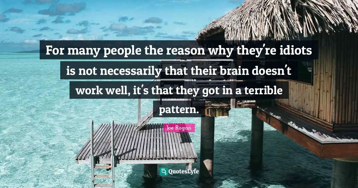Joe Rogan Quotes: "For many people the reason why they're idiots is not necessarily that their brain doesn't work well, it's that they got in a terrible pattern."