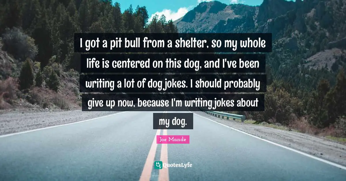 I got a pit bull from a shelter, so my whole life is centered on this dog, and I've been writing a lot of dog jokes. I should probably give up now, because I'm writing jokes about my dog.