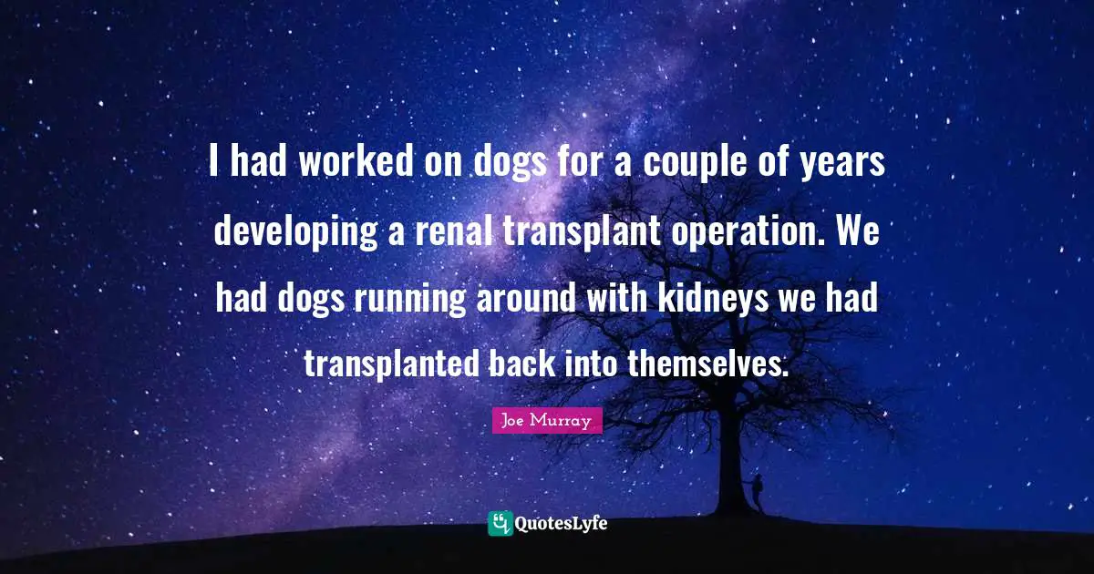I had worked on dogs for a couple of years developing a renal transplant operation. We had dogs running around with kidneys we had transplanted back into themselves.