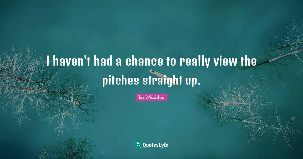 Joe Maddon Quotes: "I haven't had a chance to really view the pitches straight up."
