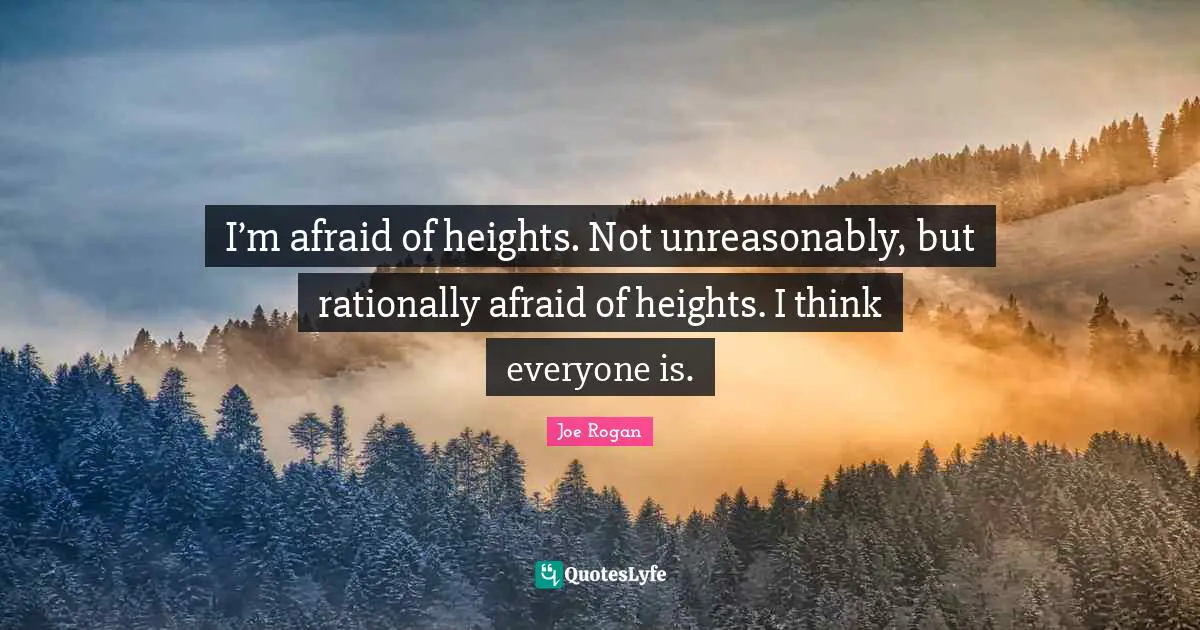 I’m afraid of heights. Not unreasonably, but rationally afraid of heights. I think everyone is.
