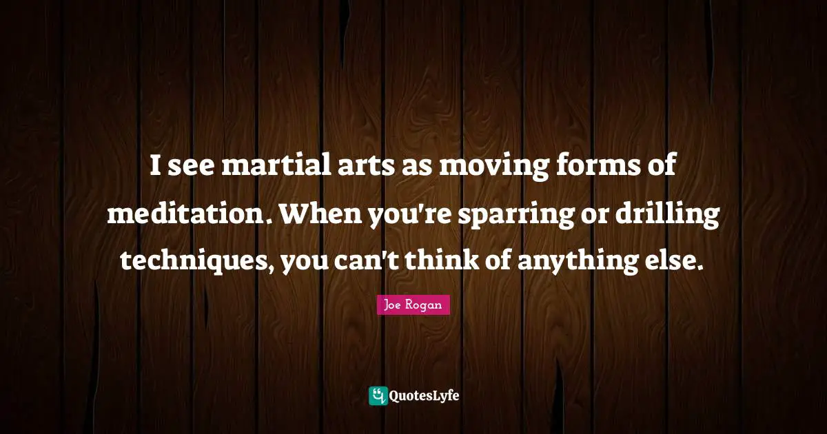I see martial arts as moving forms of meditation. When you're sparring or drilling techniques, you can't think of anything else.