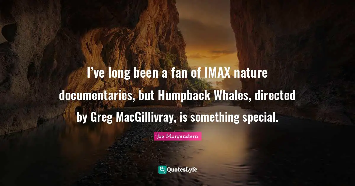 I’ve long been a fan of IMAX nature documentaries, but Humpback Whales, directed by Greg MacGillivray, is something special.