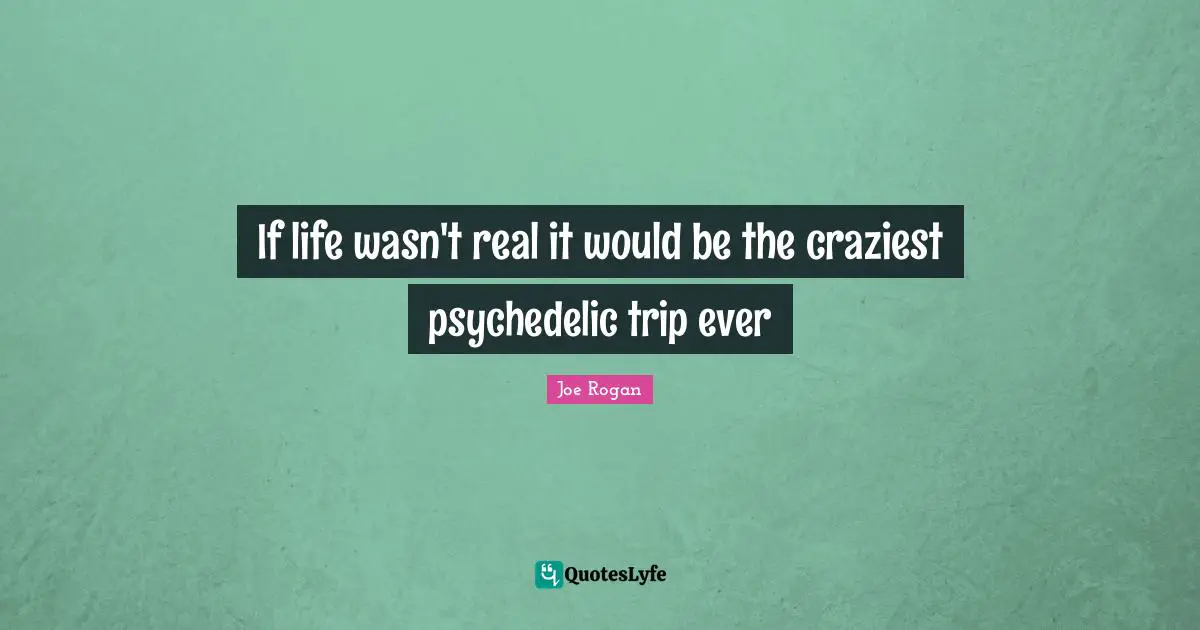 Joe Rogan Quotes: "If life wasn't real it would be the craziest psychedelic trip ever"
