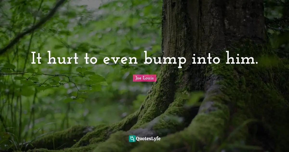 Bumps Quotes: "It hurt to even bump into him."