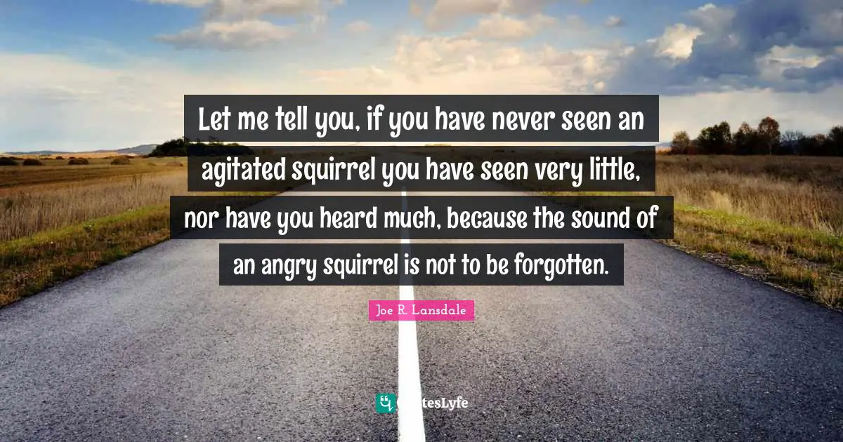 Let me tell you, if you have never seen an agitated squirrel you have seen very little, nor have you heard much, because the sound of an angry squirrel is not to be forgotten.
