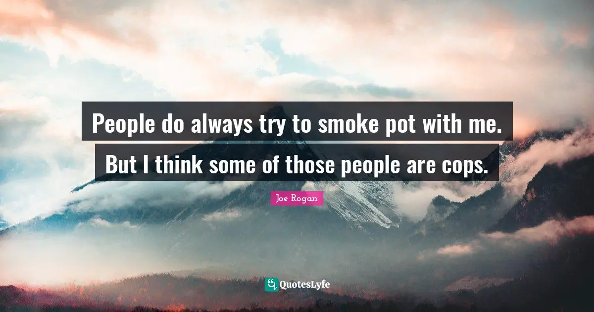People do always try to smoke pot with me. But I think some of those people are cops.