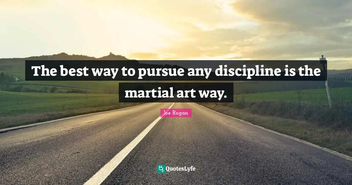 The best way to pursue any discipline is the martial art way.