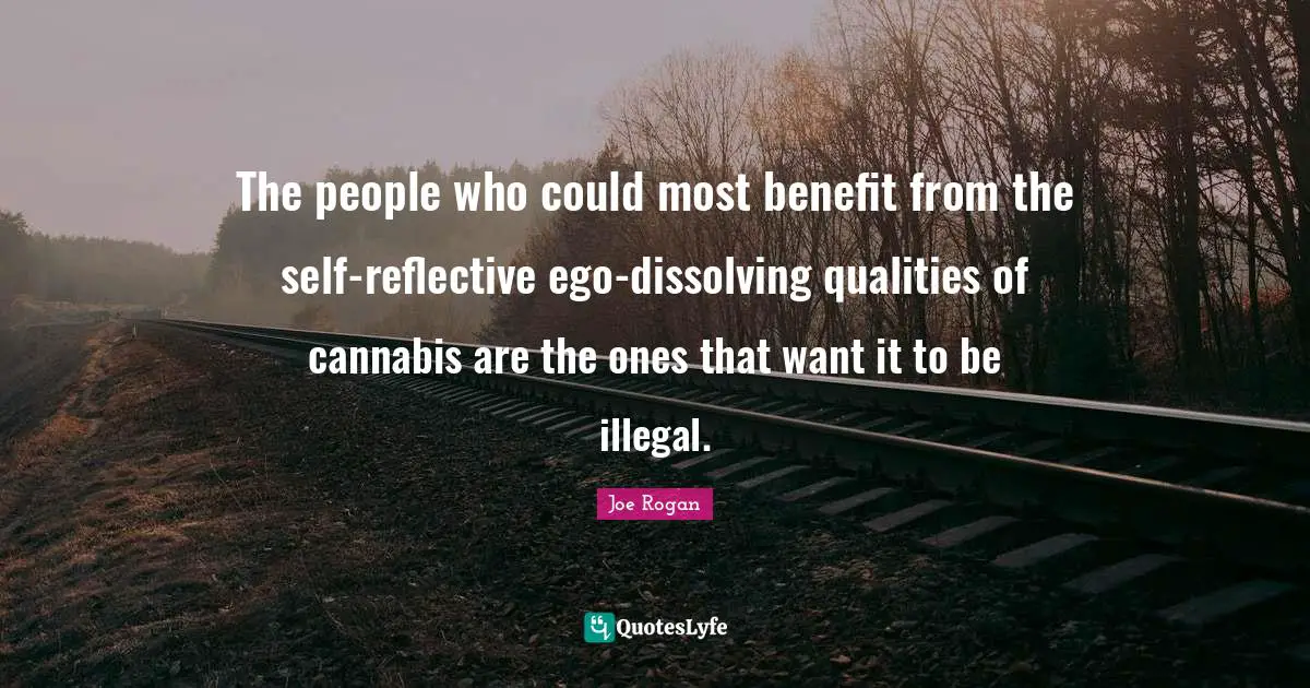 Joe Rogan Quotes: "The people who could most benefit from the self-reflective ego-dissolving qualities of cannabis are the ones that want it to be illegal."