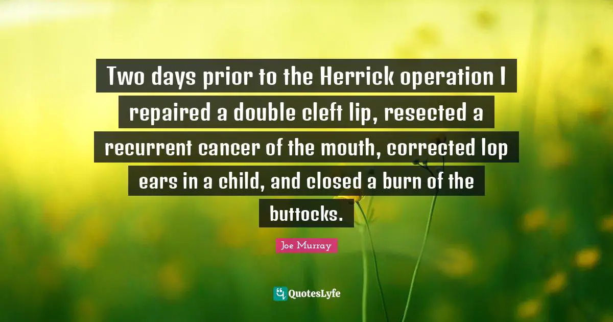 Two days prior to the Herrick operation I repaired a double cleft lip, resected a recurrent cancer of the mouth, corrected lop ears in a child, and closed a burn of the buttocks.
