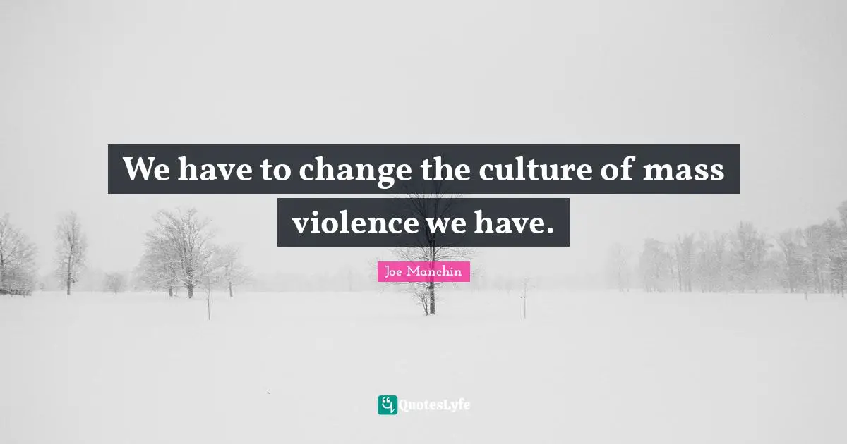 We have to change the culture of mass violence we have.