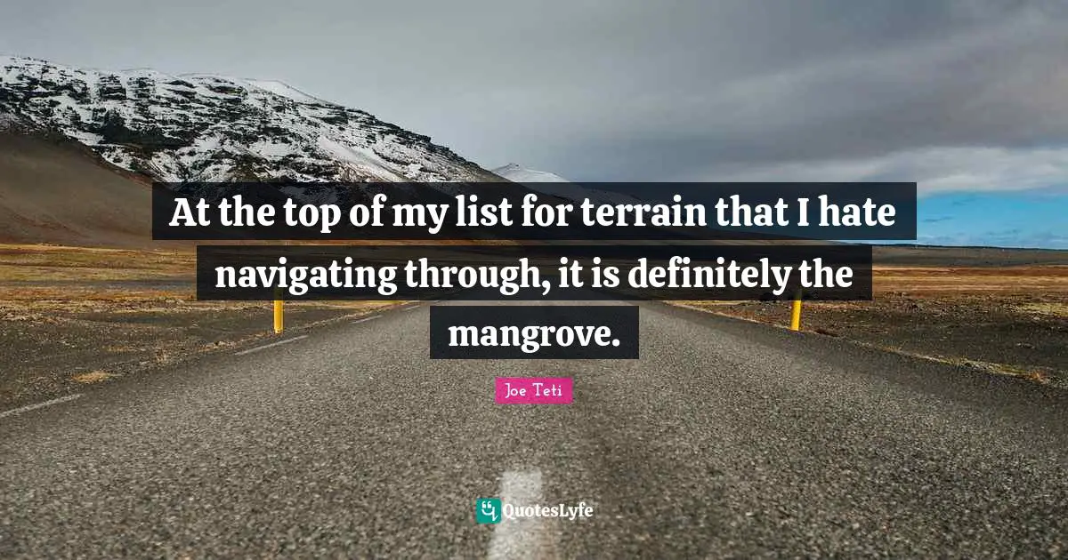 At the top of my list for terrain that I hate navigating through, it is definitely the mangrove.