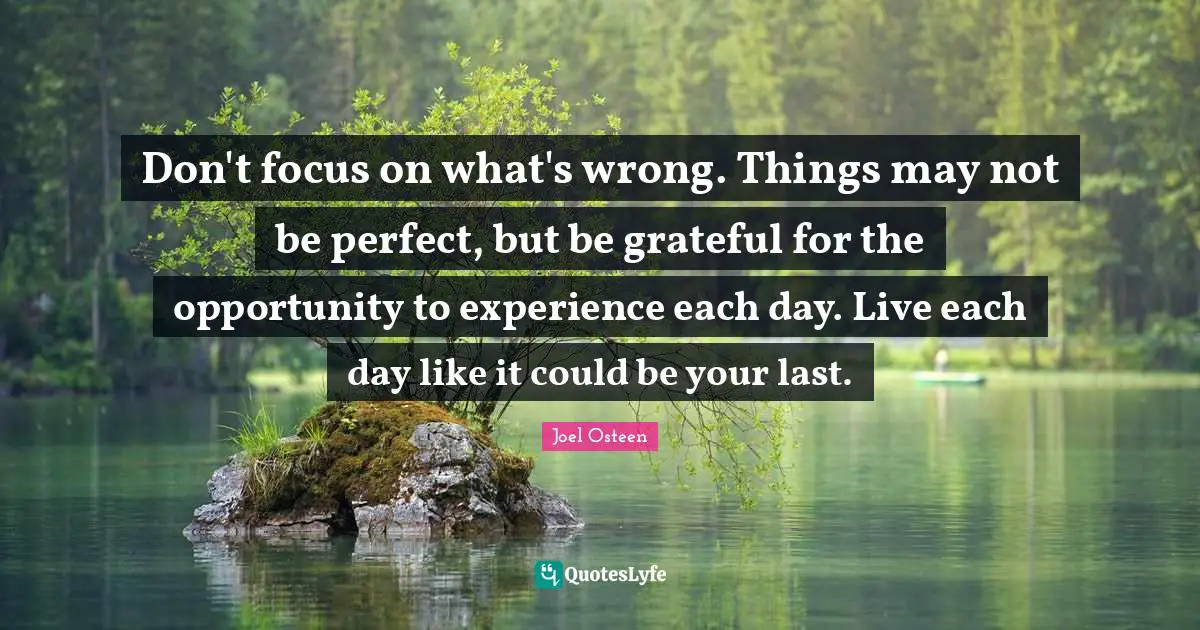 Joel Osteen Quotes: "Don't focus on what's wrong. Things may not be perfect, but be grateful for the opportunity to experience each day. Live each day like it could be your last."