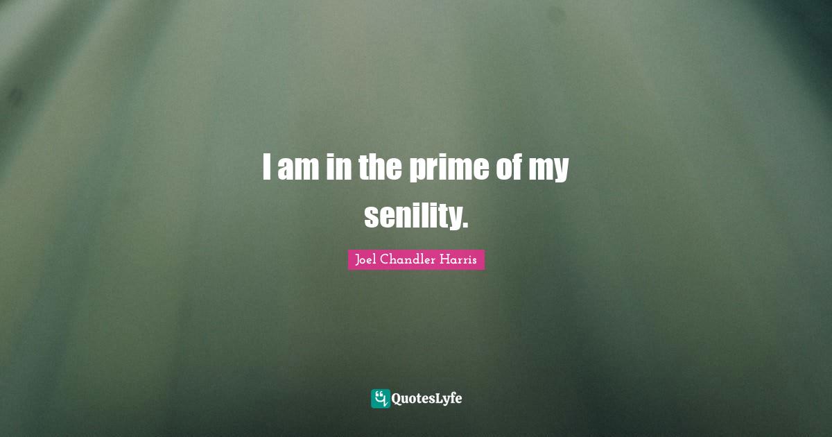 I am in the prime of my senility.