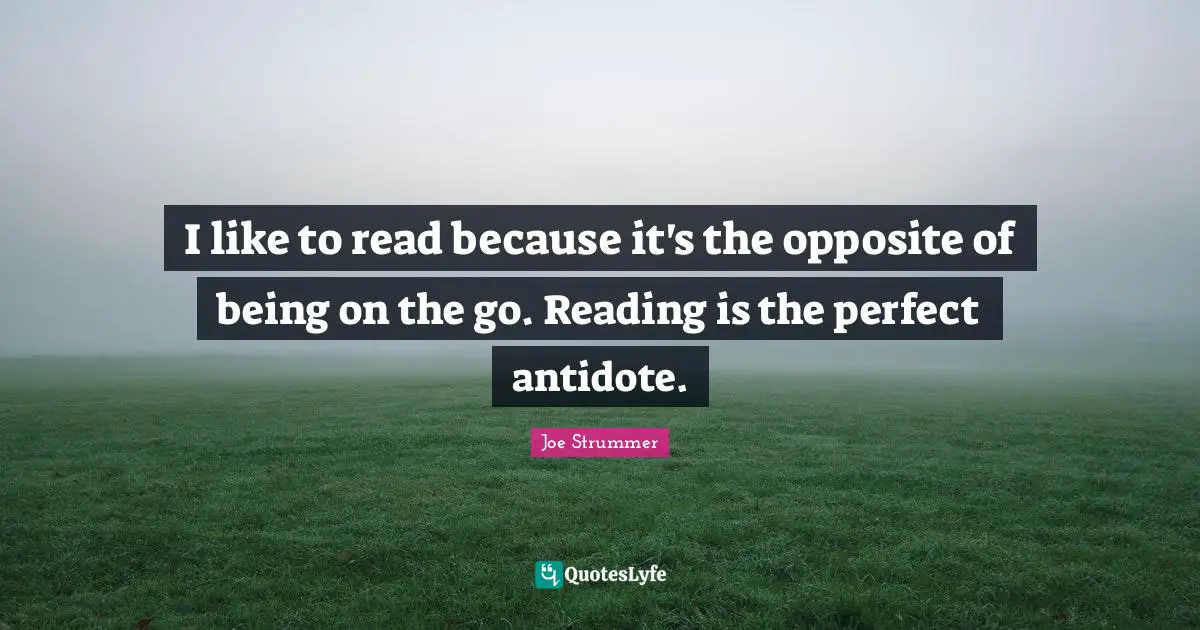 I like to read because it's the opposite of being on the go. Reading is the perfect antidote.