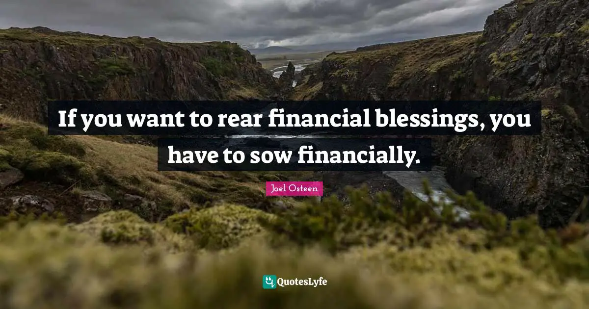 If you want to rear financial blessings, you have to sow financially.