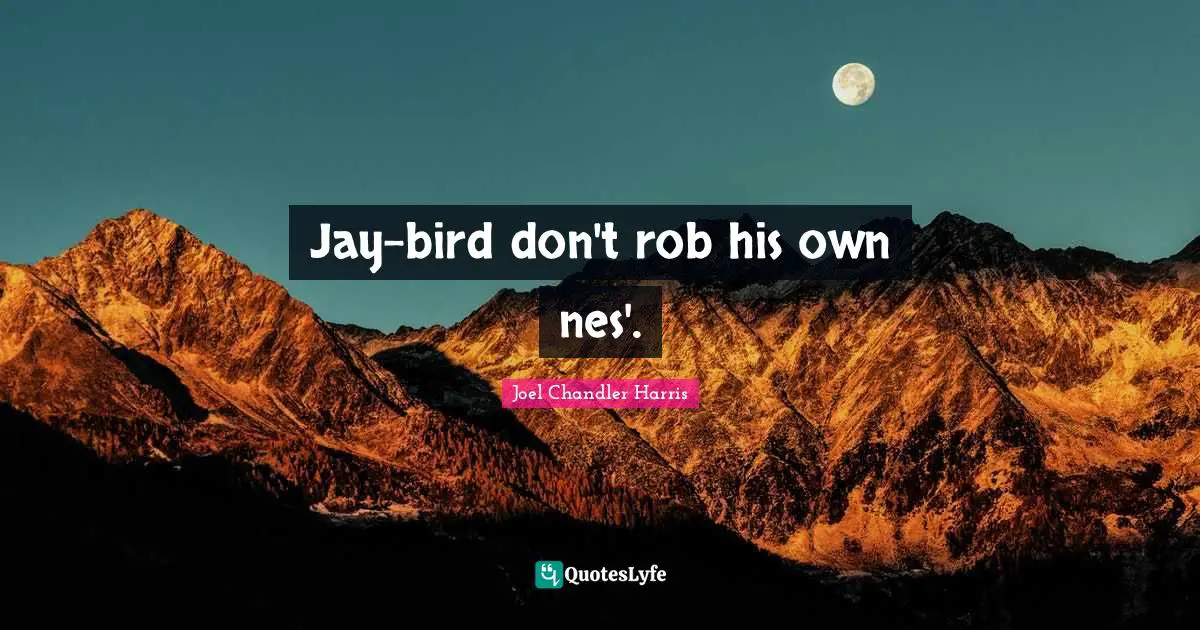 Jay-bird don't rob his own nes'.