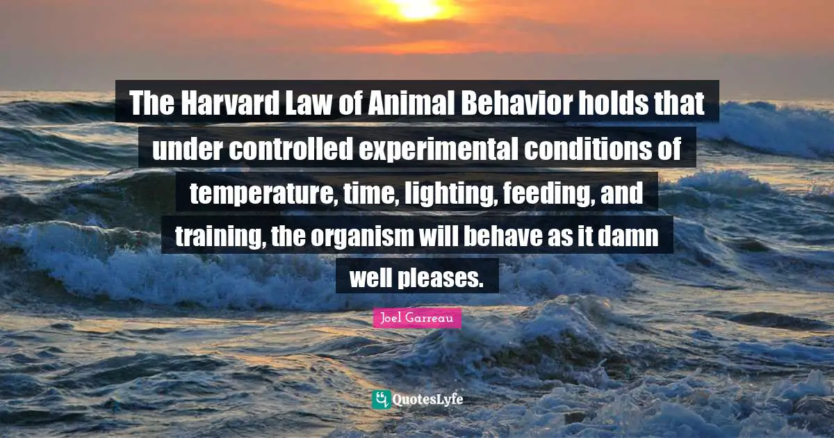 Animal Behavior Quotes: "The Harvard Law of Animal Behavior holds that under controlled experimental conditions of temperature, time, lighting, feeding, and training, the organism will behave as it damn well pleases."