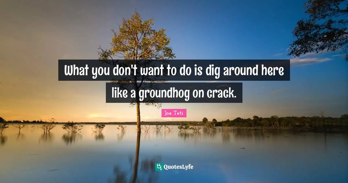 What you don't want to do is dig around here like a groundhog on crack.