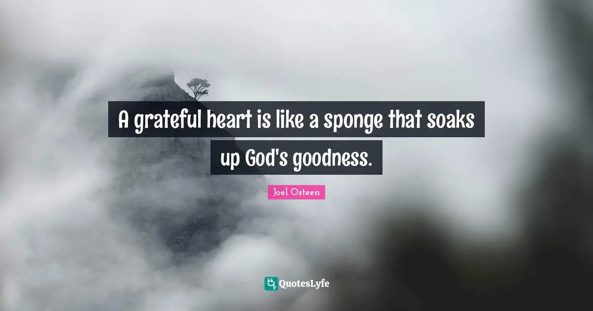 A grateful heart is like a sponge that soaks up God's goodness.