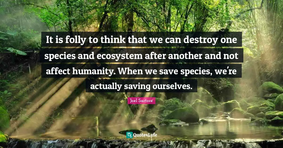 Folly Quotes: "It is folly to think that we can destroy one species and ecosystem after another and not affect humanity. When we save species, we're actually saving ourselves."