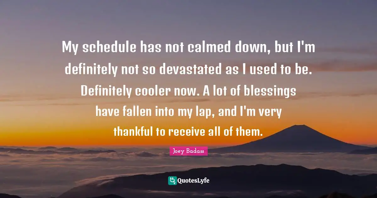 Lap Quotes: "My schedule has not calmed down, but I'm definitely not so devastated as I used to be. Definitely cooler now. A lot of blessings have fallen into my lap, and I'm very thankful to receive all of them."