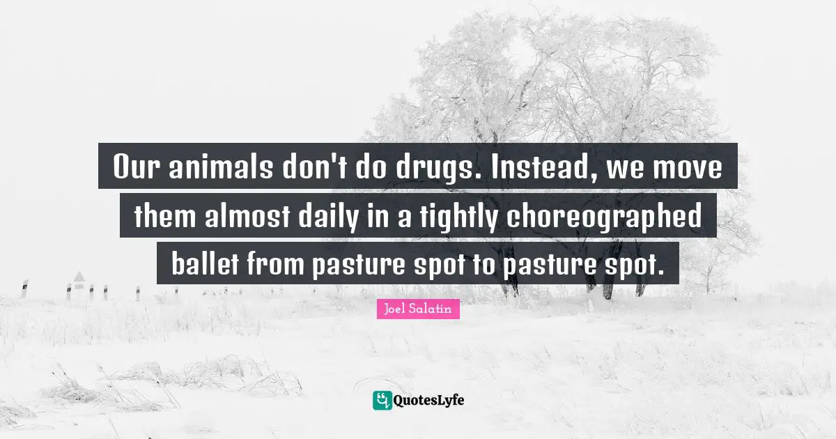 Our animals don't do drugs. Instead, we move them almost daily in a tightly choreographed ballet from pasture spot to pasture spot.