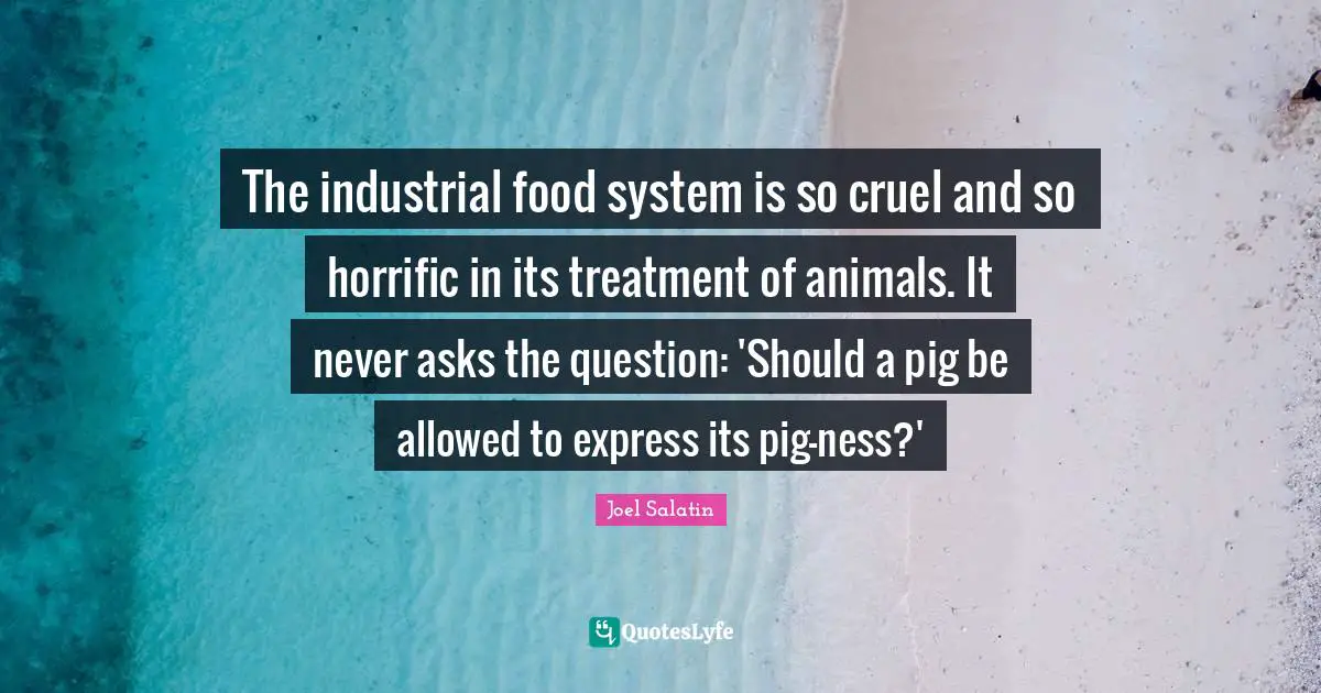 The industrial food system is so cruel and so horrific in its treatment of animals. It never asks the question: 'Should a pig be allowed to express its pig-ness?'
