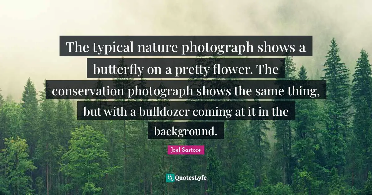 The typical nature photograph shows a butterfly on a pretty flower. The conservation photograph shows the same thing, but with a bulldozer coming at it in the background.