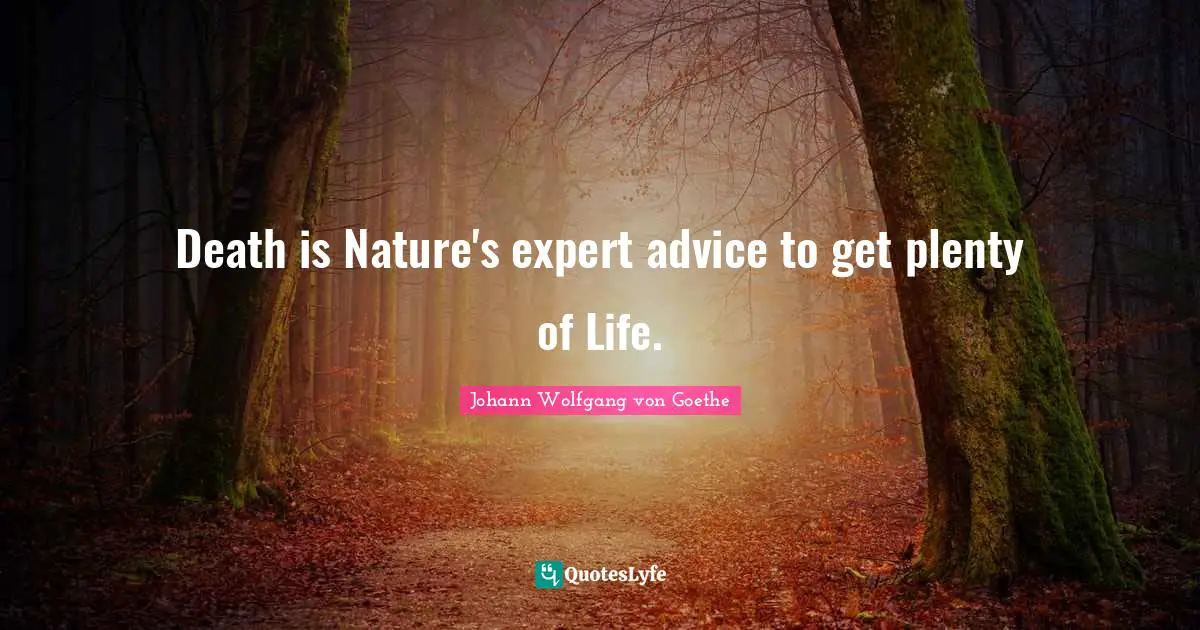 Death is Nature's expert advice to get plenty of Life.