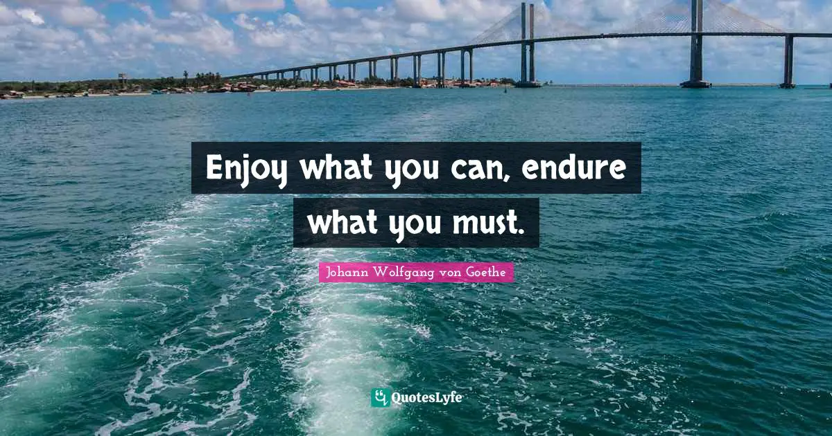 Enjoy what you can, endure what you must.