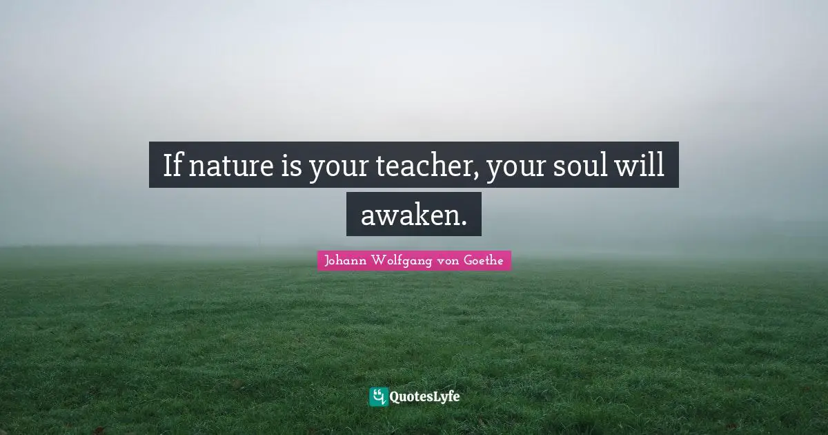 If nature is your teacher, your soul will awaken.