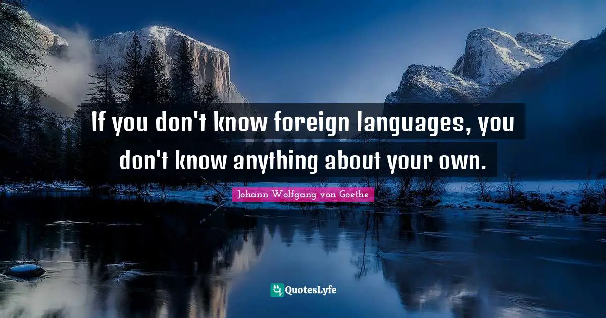 Foreign Language Quotes: "If you don't know foreign languages, you don't know anything about your own."