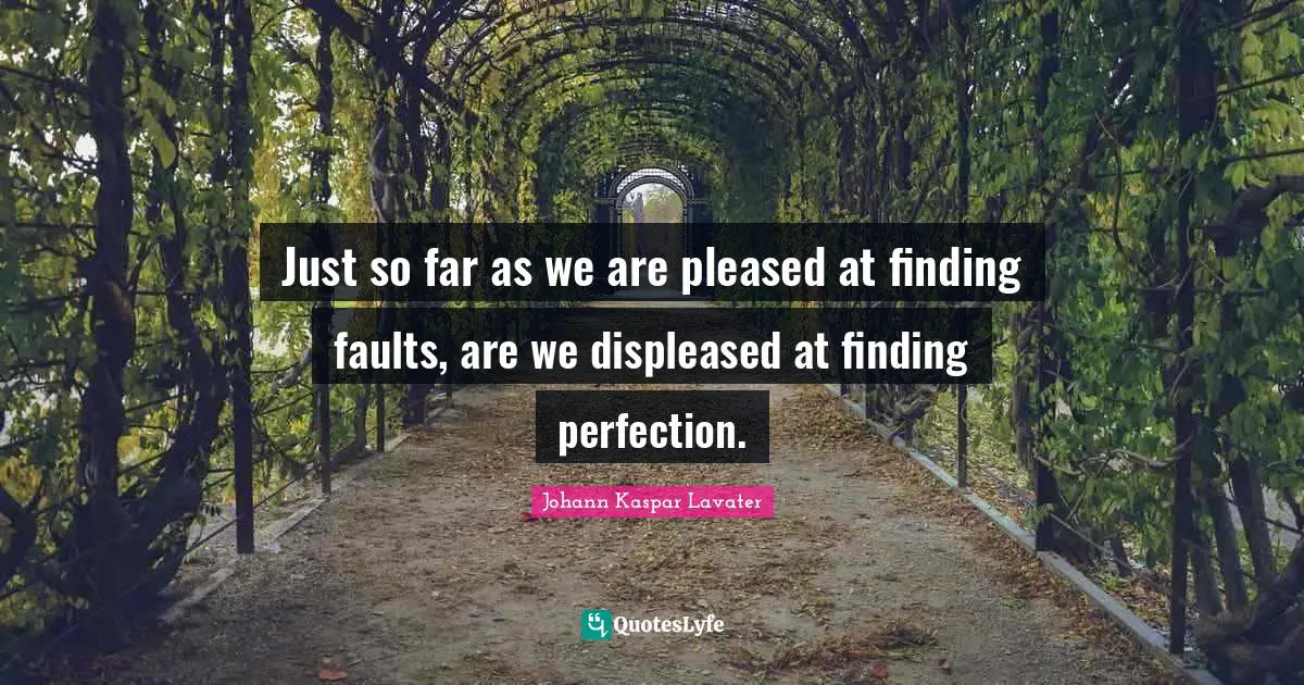 Just so far as we are pleased at finding faults, are we displeased at finding perfection.