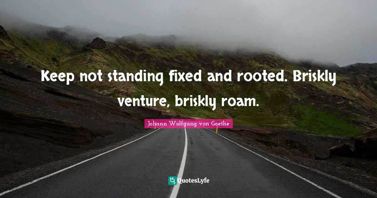 Keep not standing fixed and rooted. Briskly venture, briskly roam.