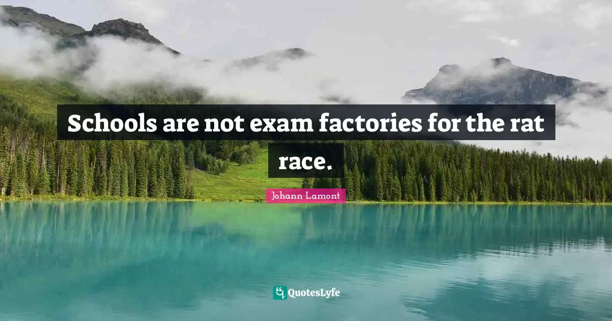 Schools are not exam factories for the rat race.